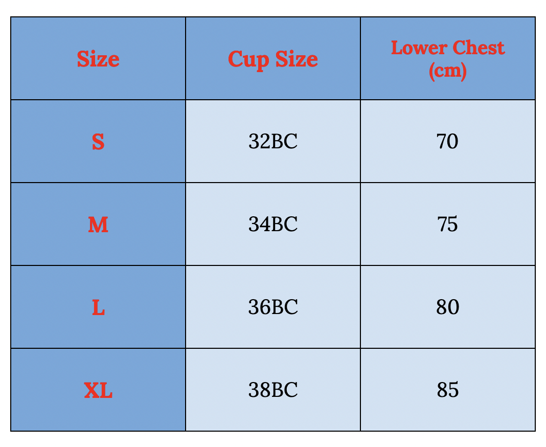 SecretPlunge Bra SIZE