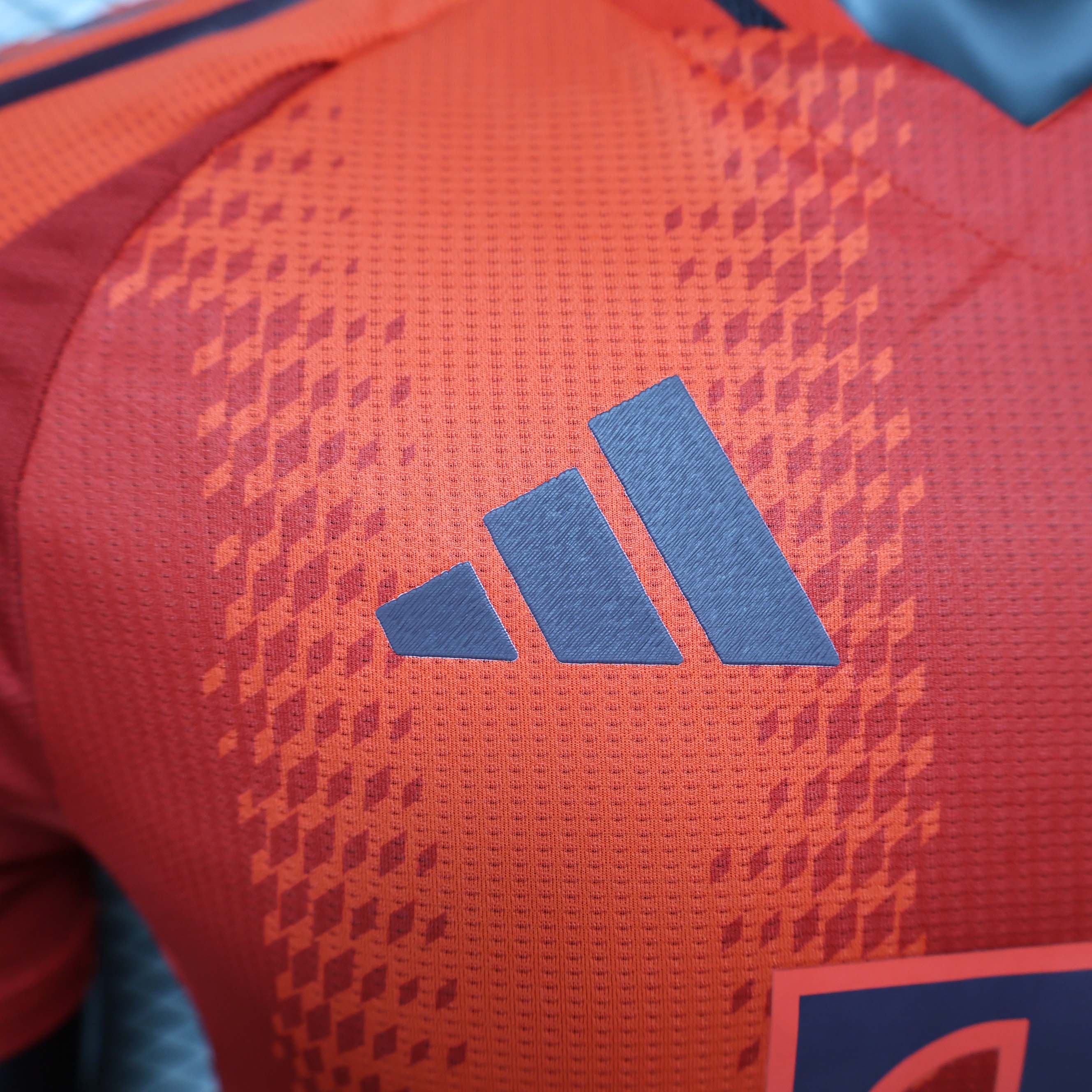 2024/2025 Player Version Bayern Munich Home Football Shirt 1:1 Thai Quality:football jersey mysite: unitedjerseyfootball 邓江浪:football