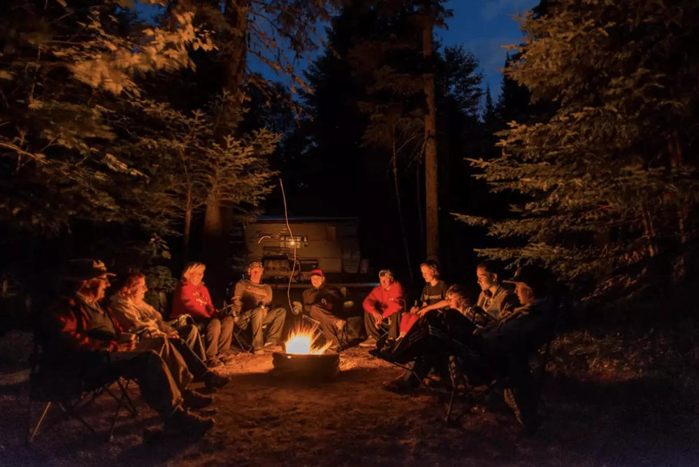 ZapTek Mosquito Zapper