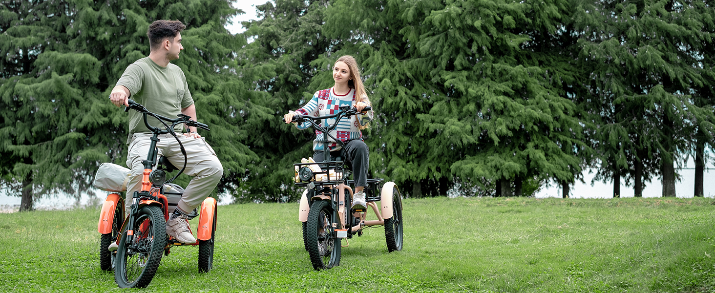 electric tricycle