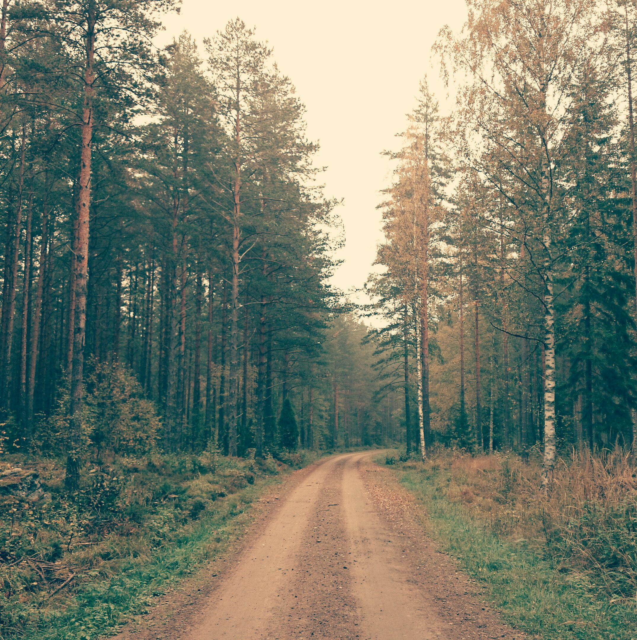100% Solid Wood from Renewable Forests