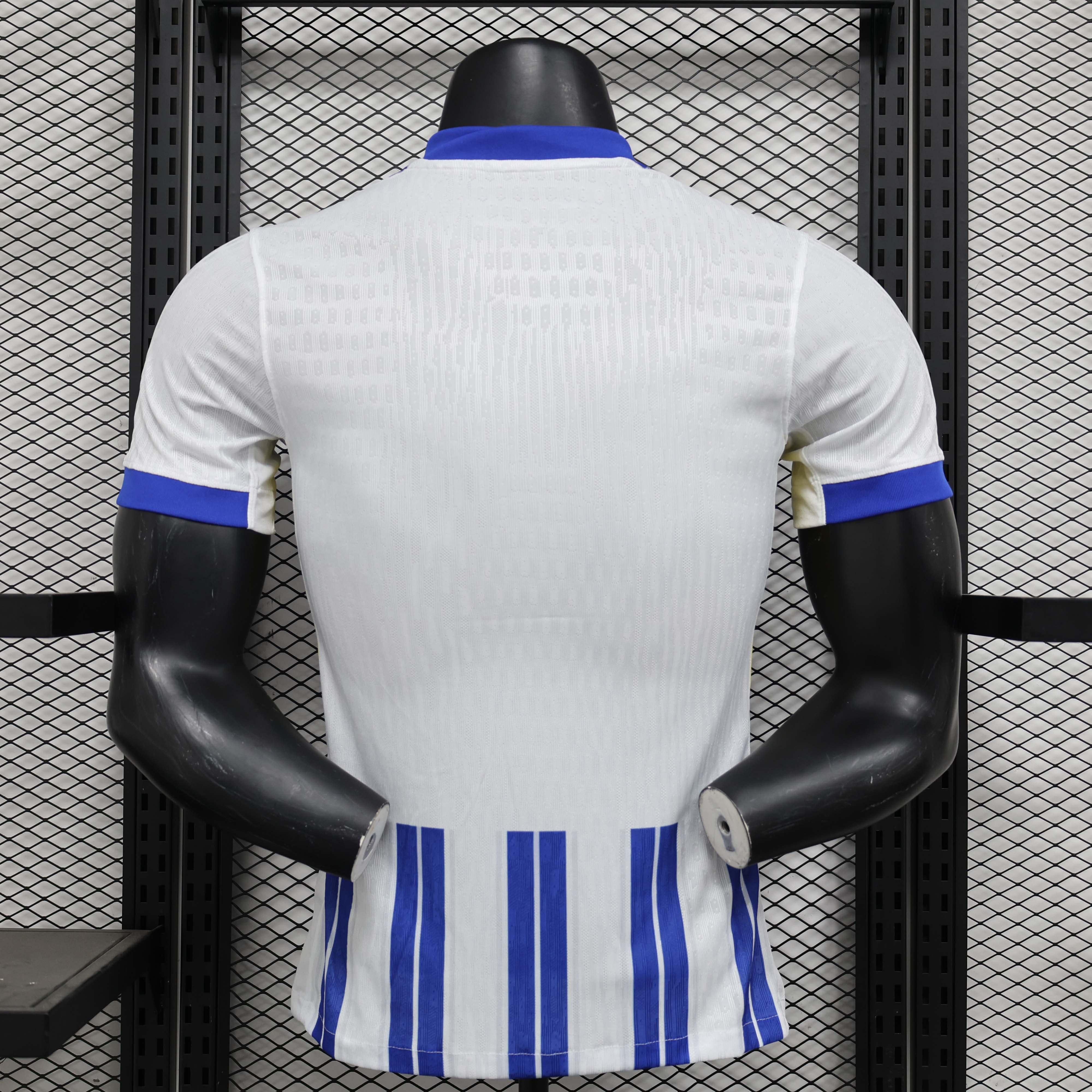 2024/2025 Player Version Brighton Home Football Shirt 1:1 Thai Quality:football jersey mysite: unitedjerseyfootball 邓江浪:football