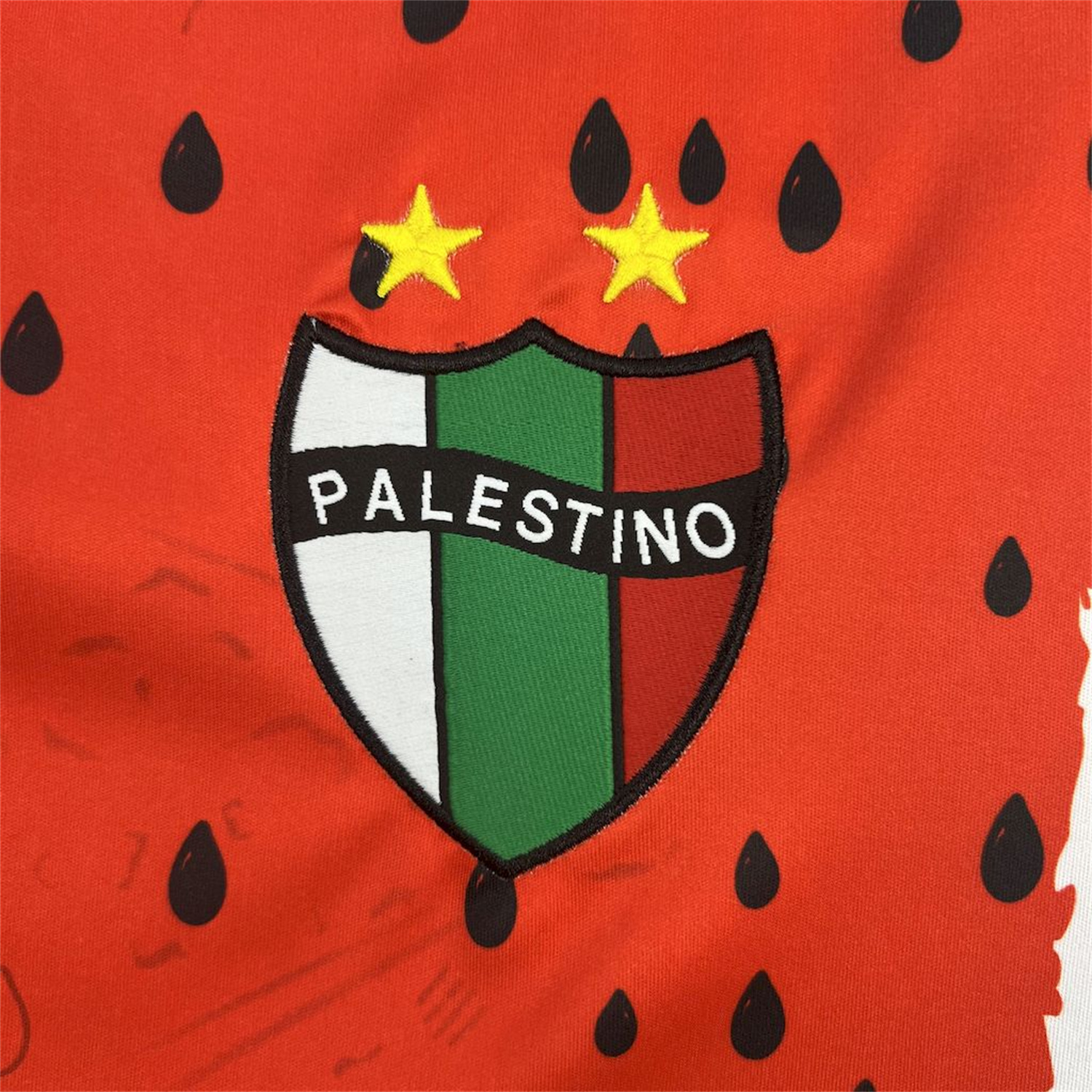 UltraTrikot-Club Deportivo Palestino 25-26 Third Jersey - Fans Version