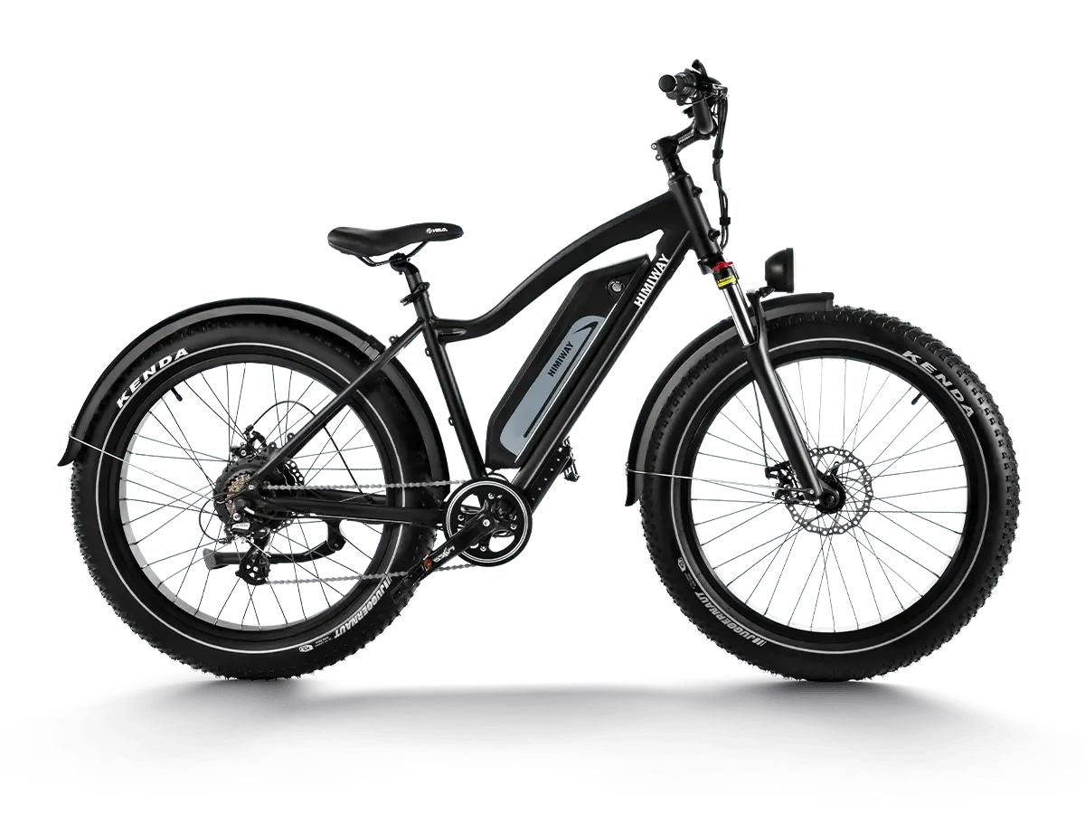 D3(Cruiser) / Long Range Fat Tire Electric Bike、mySite、bearsvspackers