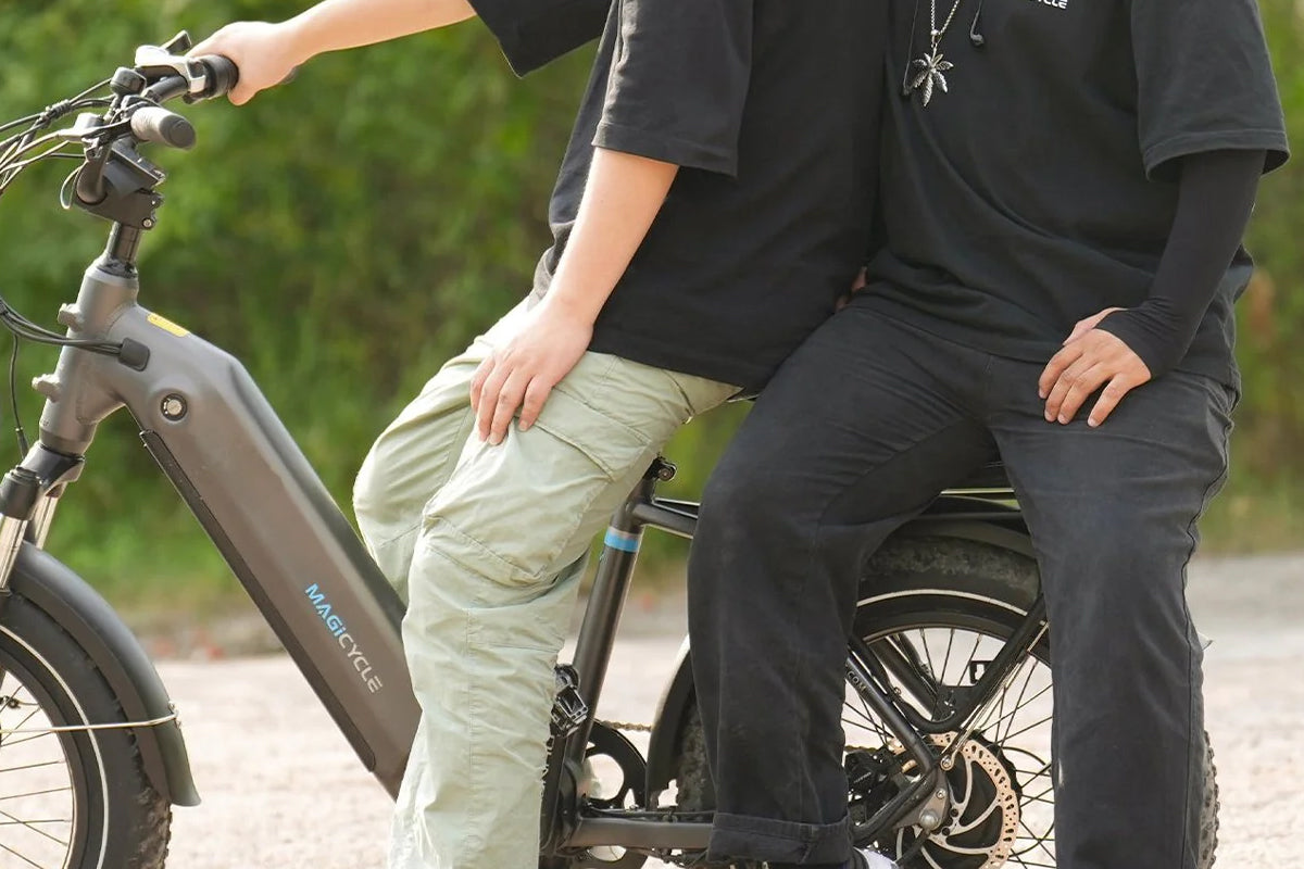 Magicycle Ebike Rear Seat Cushion Deckpad、mySite、bearsvspackers