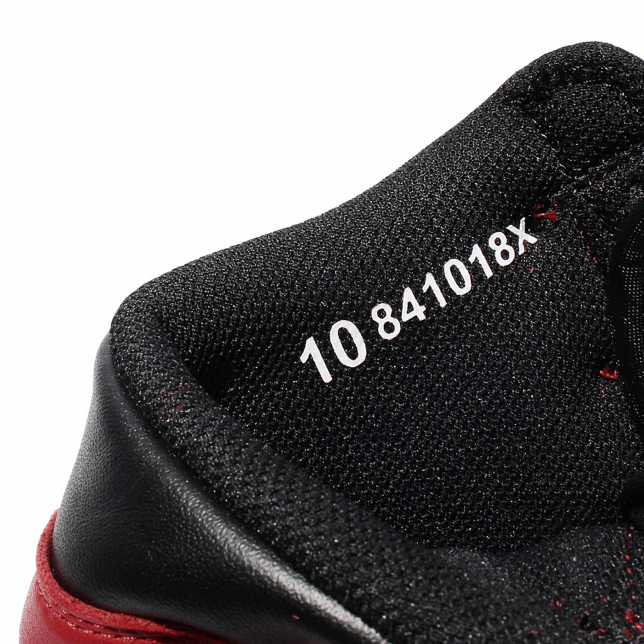 Air Jordan 1 Retro High OG Bred 2016