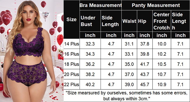 plus size panties and bra sets for women sexy