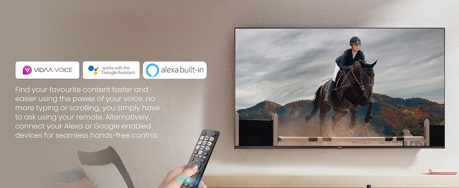 Voice Remote (VIDAA&Alexa)