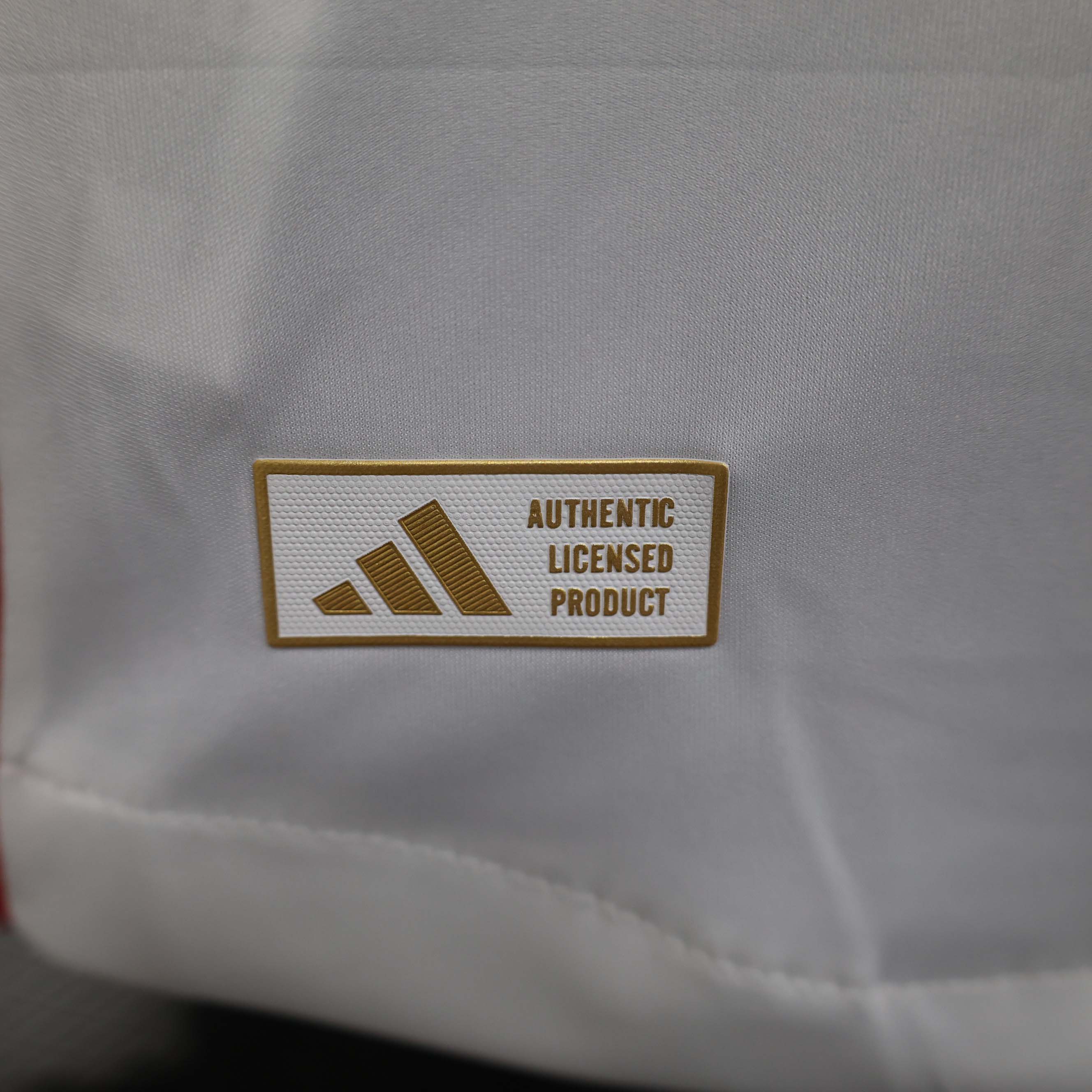 2024/2025 Player Version Lyon Home Football Shirt 1:1 Thai Quality:football jersey mysite: unitedjerseyfootball 邓江浪:football