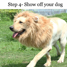 lion mane for dog