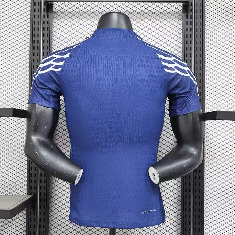 2024/2025 Paris Saint-Germain Special Edition Football Jersey:football jersey mysite: unitedjerseyfootball 邓江浪:football