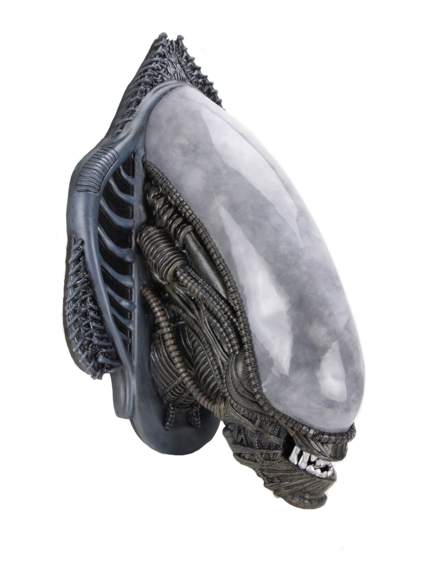Xenomorph trophy plaque side view