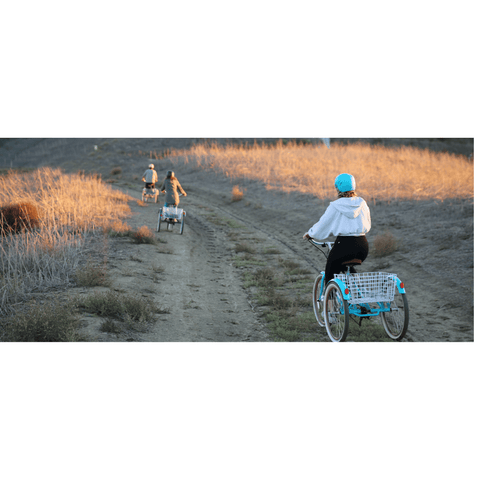 EVRY_journey_250W_Electric_Tricycle_Downhill