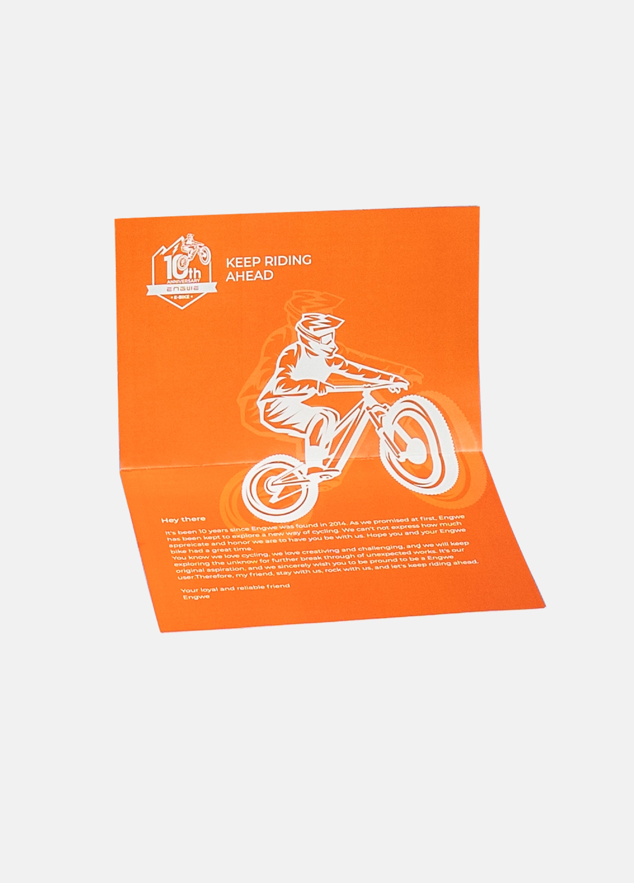 10th Anniversary Box、mySite、bearsvspackers