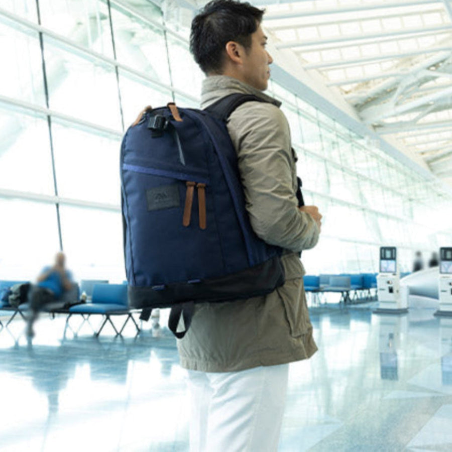 GREGORY x ANA Daypack 26L  Black Label 