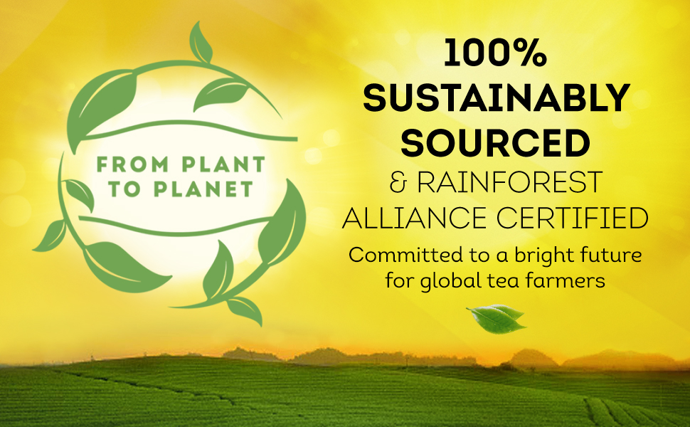 From Plant to Planet with tea fields