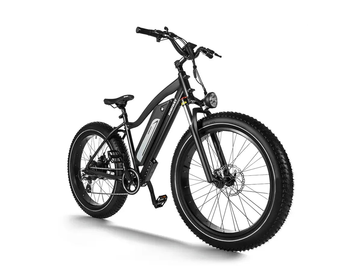 D3(Cruiser) / Long Range Fat Tire Electric Bike、mySite、bearsvspackers