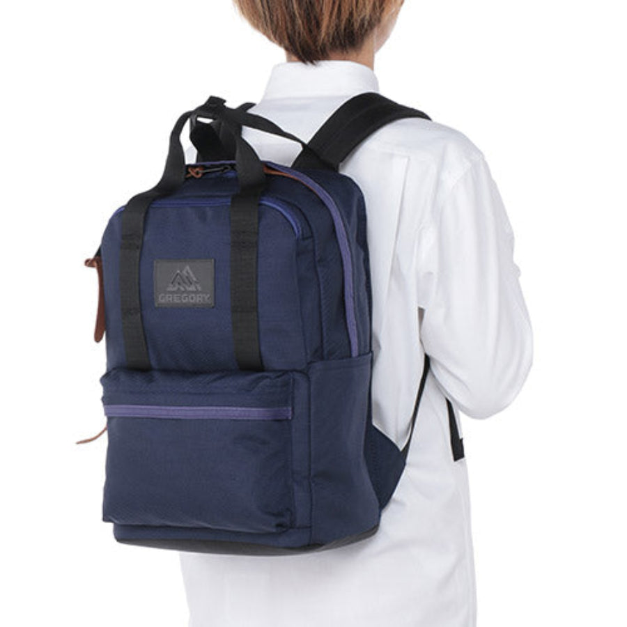 GREGORY x ANA Easy Peasy Day 18L  Black Label 