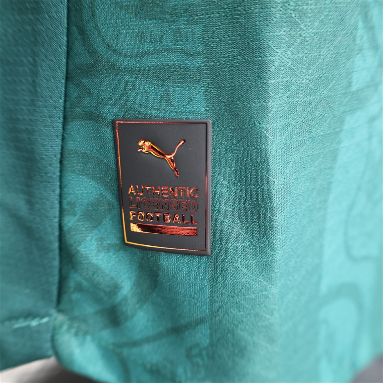 UltraTrikot-Plymouth Argyle 25-26 Home Unsponsored Jersey - Player Version