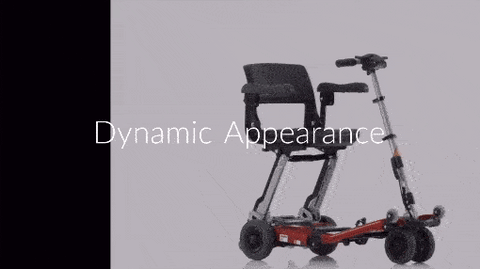 Navigate with Ease: Smooth Rides on Any Terrain with the Luggie Standard 3-Wheel Scooter