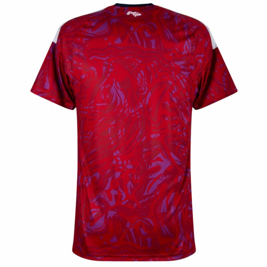 Costa Rica Home Fan Jersey Shirt 2026-2027-mysite Custom Football Kit- Nextkits