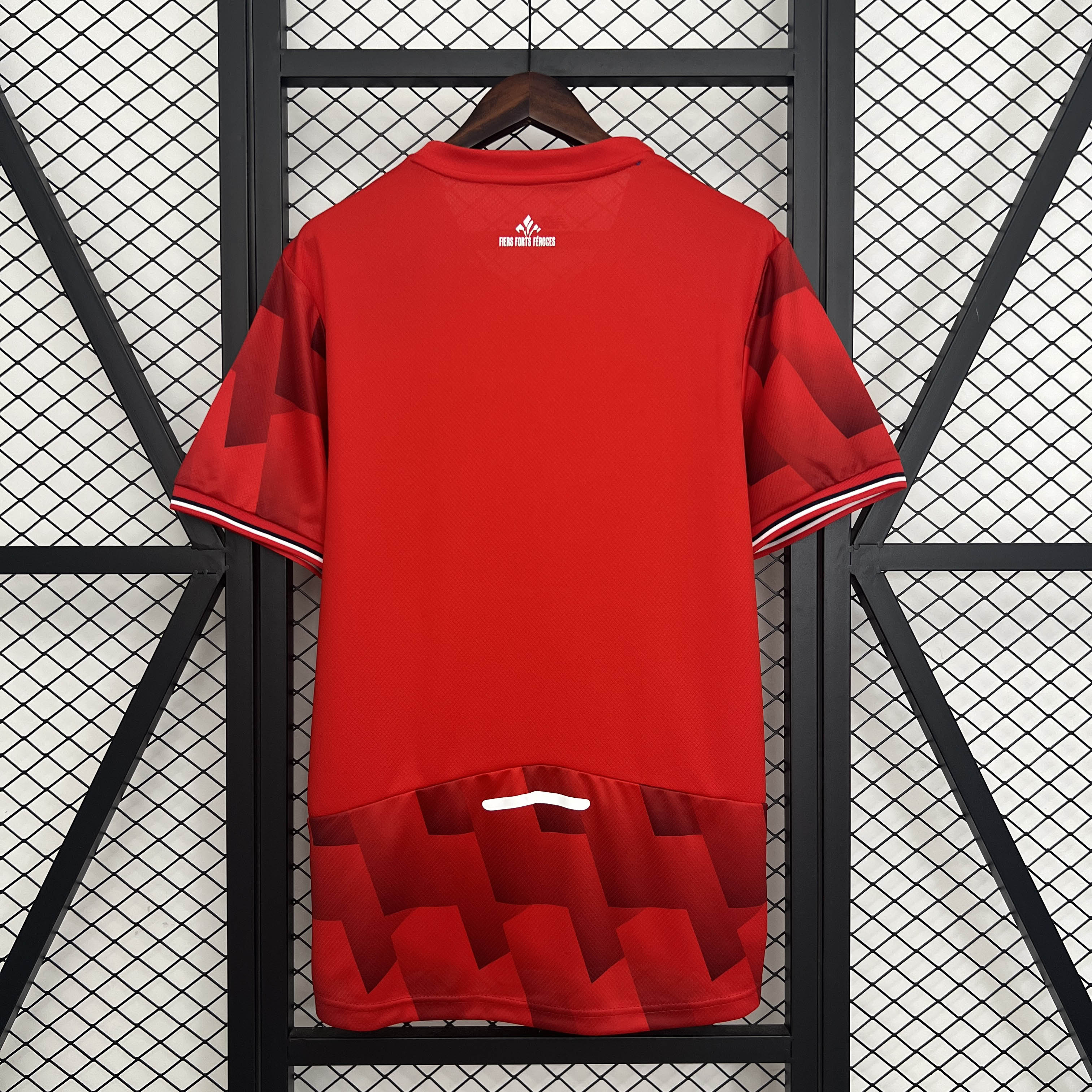 2025/2026 Lille Home Football Shirt 1:1 Thai Quality:football jersey mysite: unitedjerseyfootball 邓江浪:football