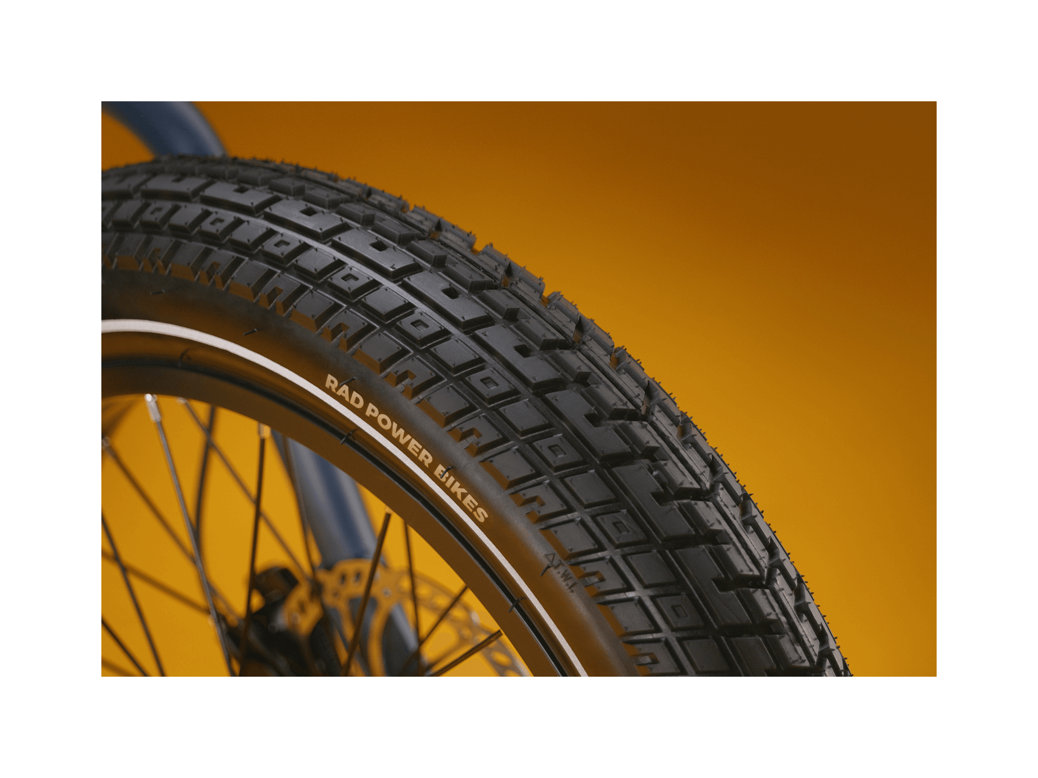 RadRunner™ Electric Cargo Utility Bike、mySite、bearsvspackers