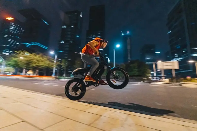 adult   tires electric bicycle motorcycle ebike 740w 52v 20ah 8ah battery detachable dual batteries 20 inch disc brake   outdoor off road electric bicycle large led display 26 miles per hour 100 mile electric bicycle Product details 7
