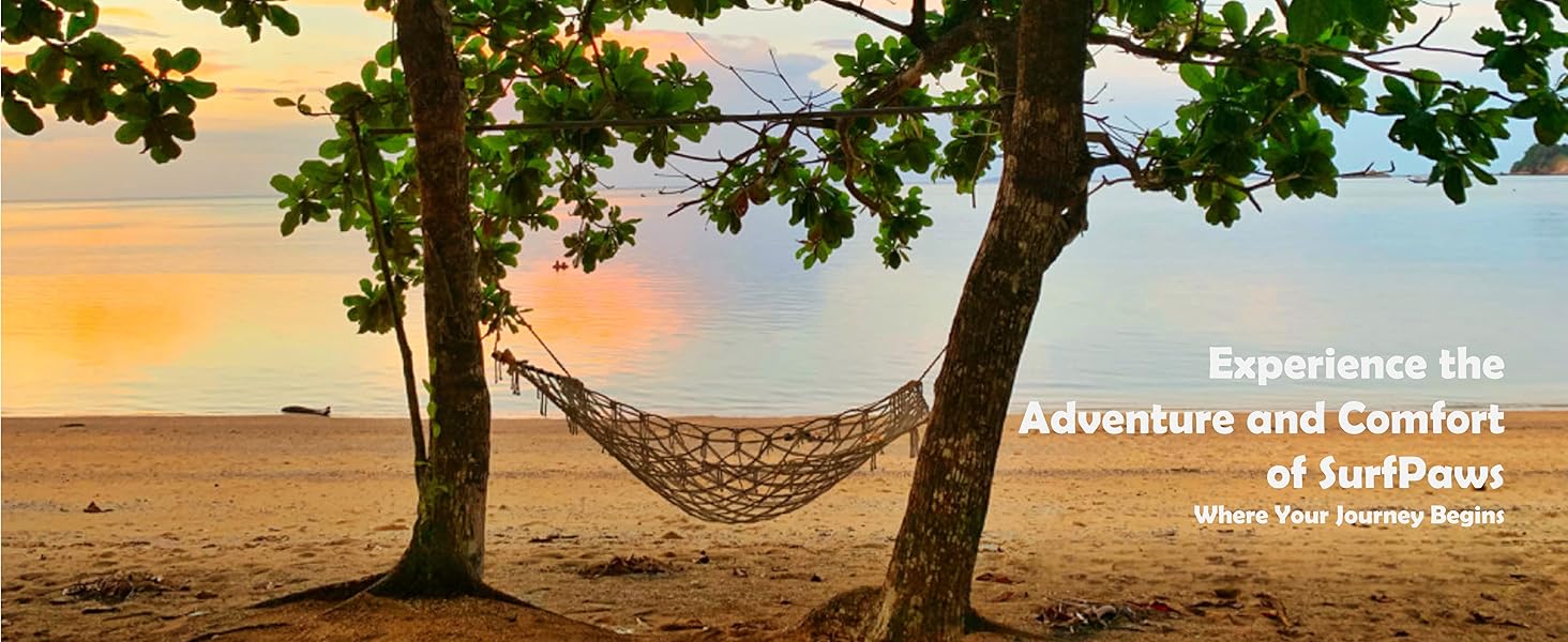 Hammock between trees on a serene beach, promoting the adventure and comfort offered by SurfPaws