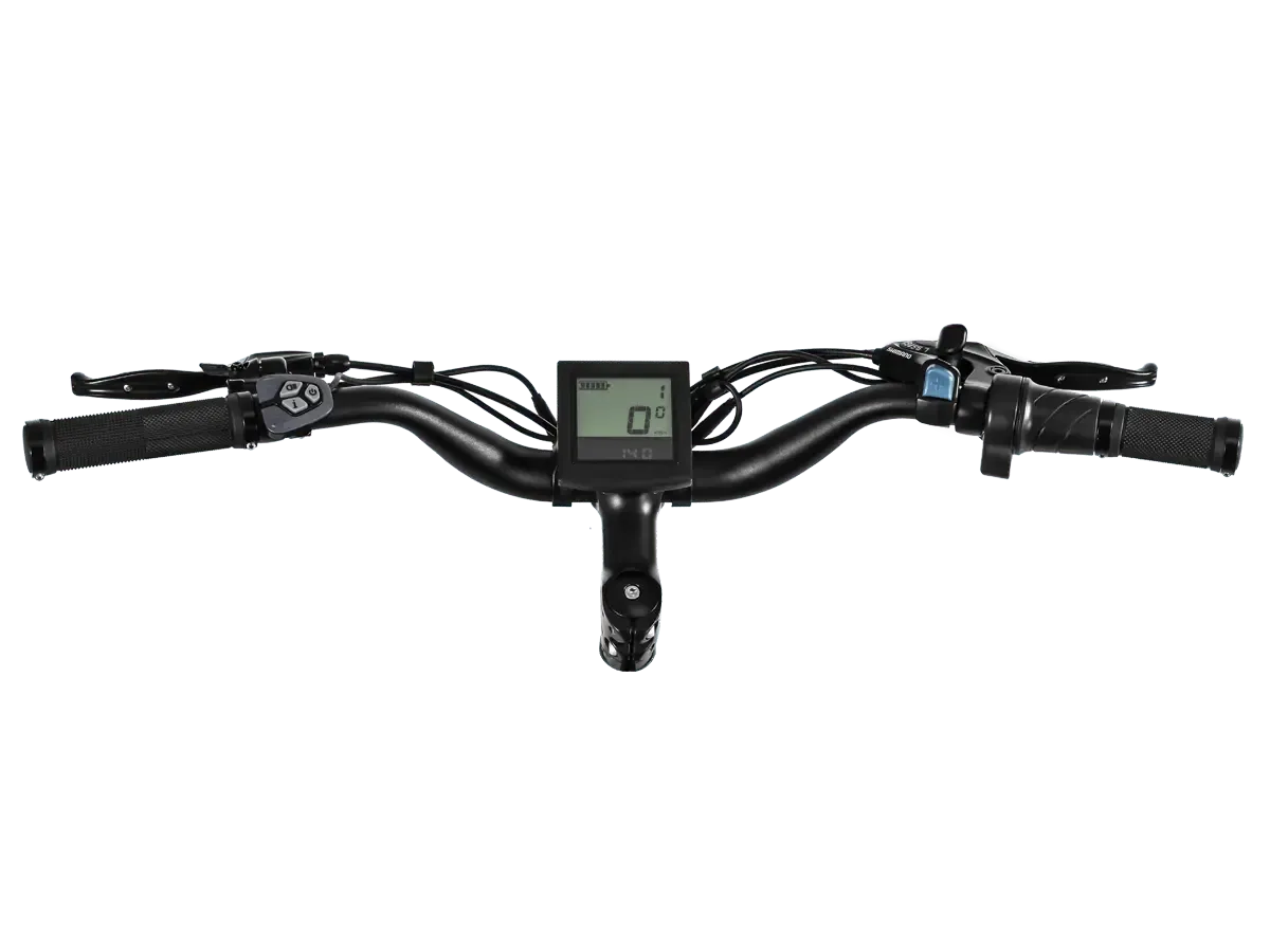 D3(Cruiser) / Long Range Fat Tire Electric Bike、mySite、bearsvspackers