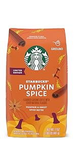 Pumpkin Spice 17 oz