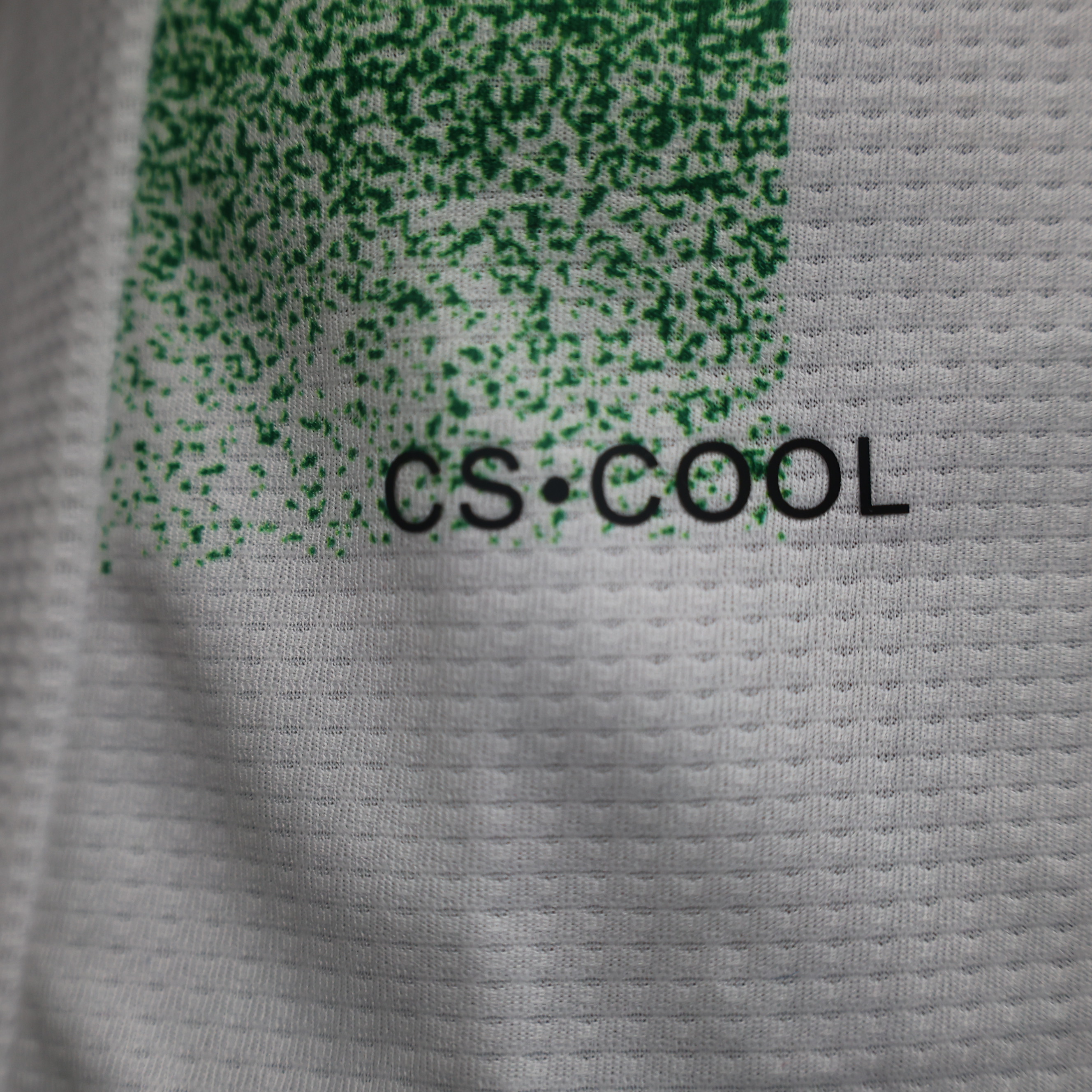 Higojerseys-Club Deportivo Palestino 2024 Home Jersey - Player Version