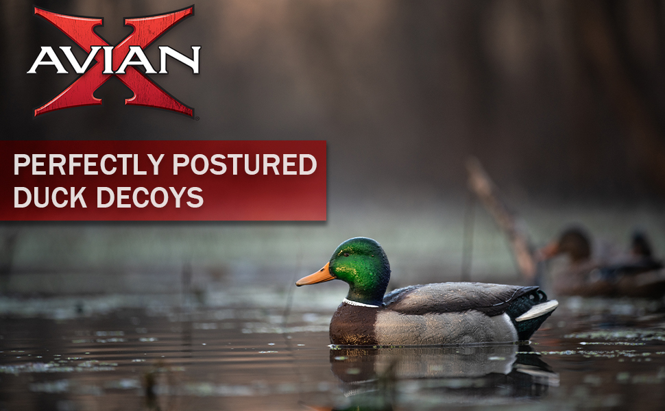 avian x duck decoys