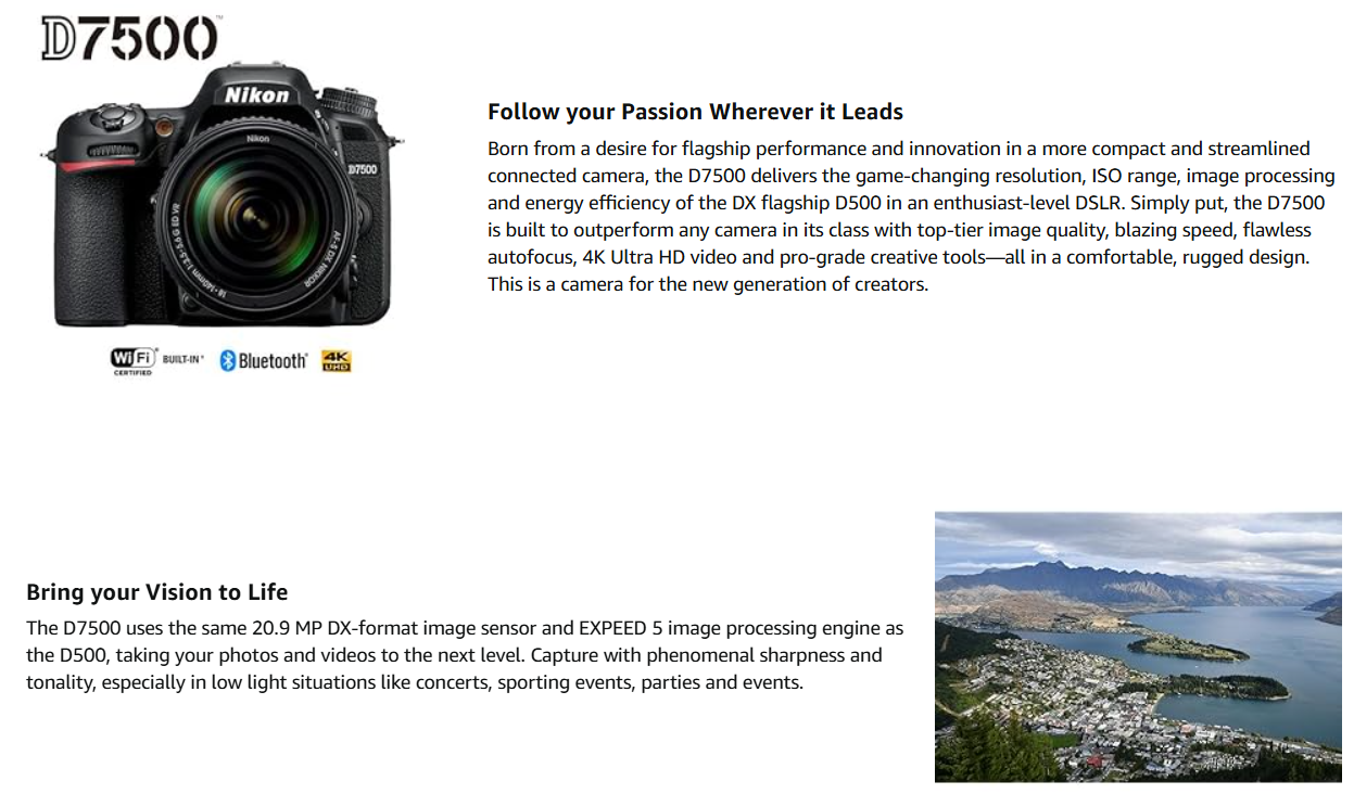 Pasted Image