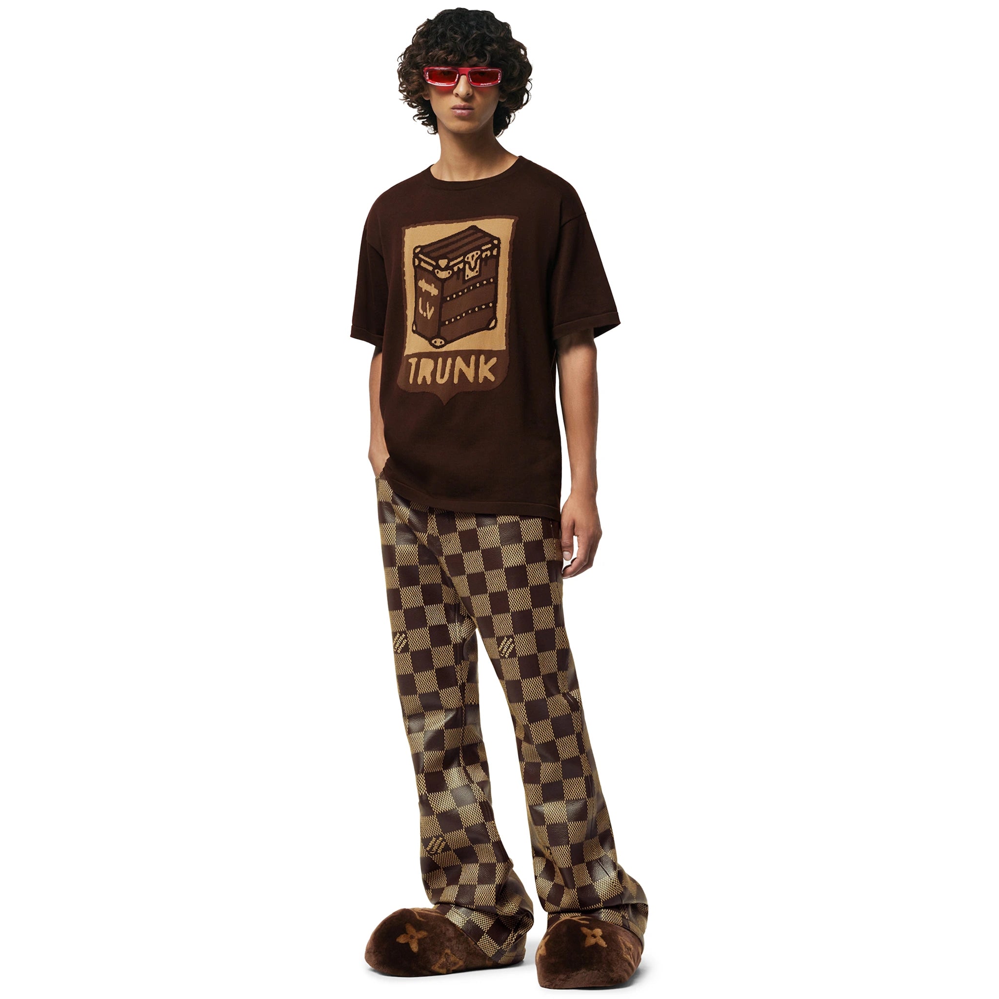 Louis Vuitton Cotton Trunk Print Sienna Brown T Shirt、mysite、Cacoeks