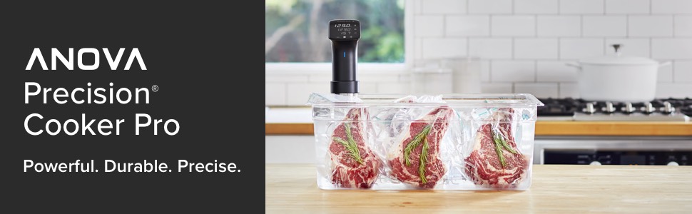 Pro Anova Precision cooker pro professional grade chef culinary grade sous vide 10,000 ongoing hour