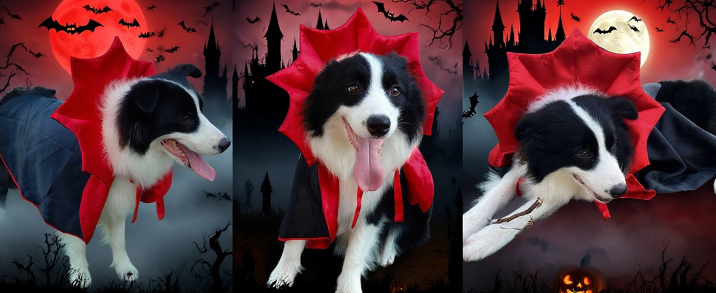 dog costume for large dogs