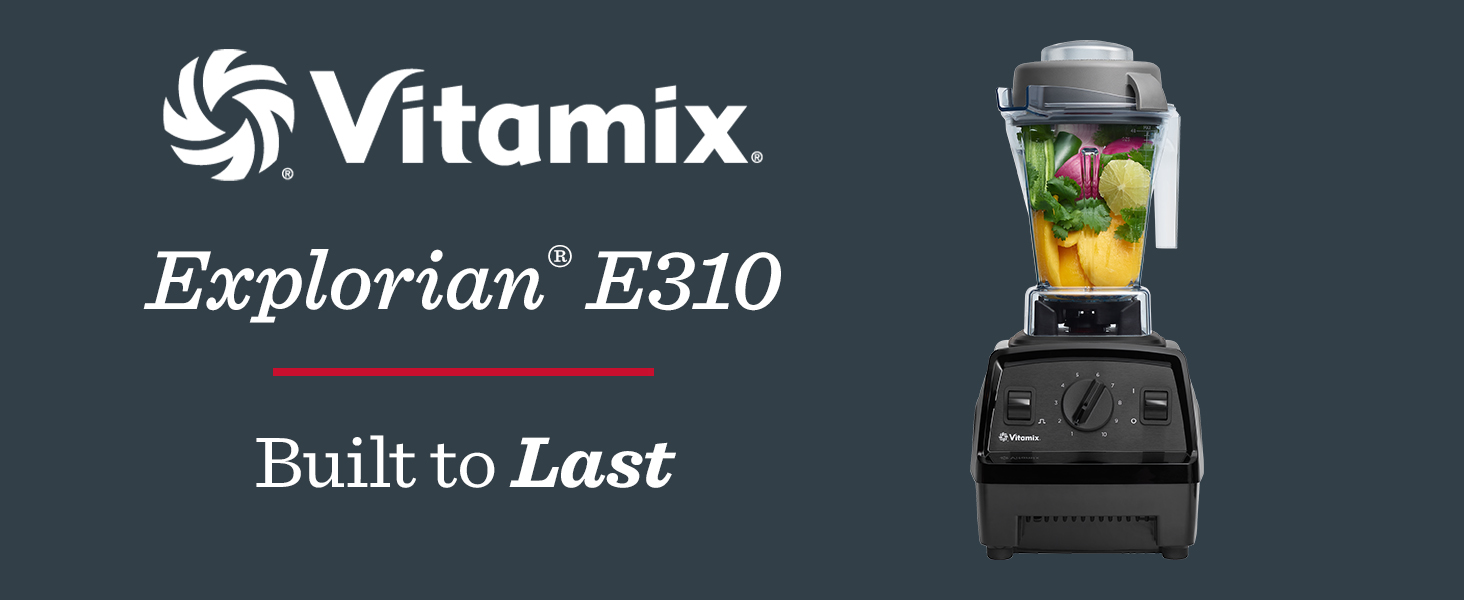 E310