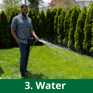 jonathan green black beauty ultra grass seed lawn care yard