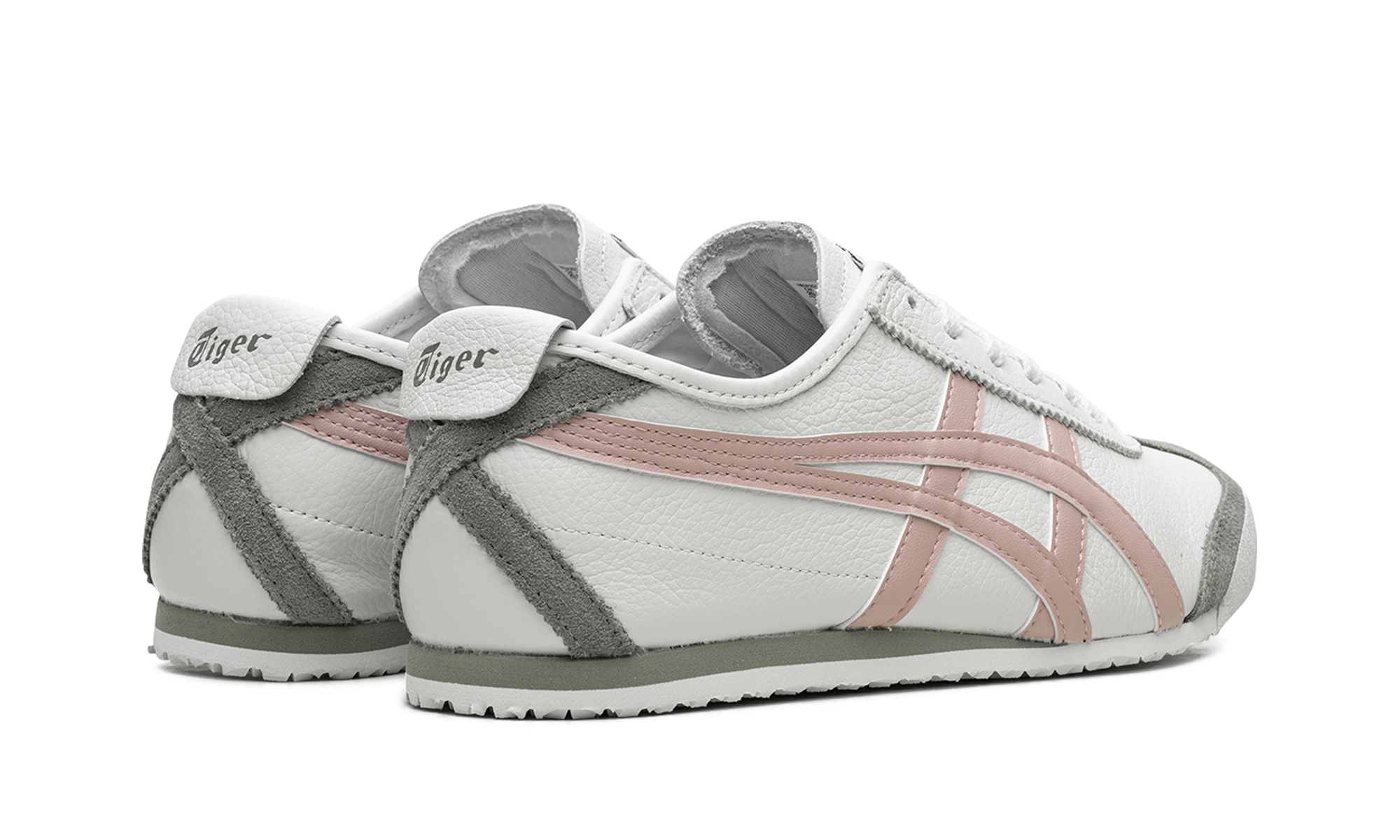 Mexico 66 "Airy Blue Watershed Rose"、mysite、Cacoeks