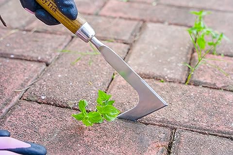 Amazon.com: V Weeder Garden Tool