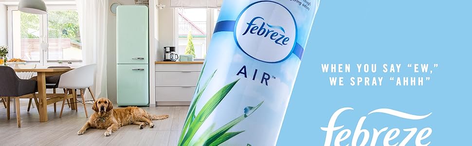 When you say "ew." we spray "ahhh". Febreze.