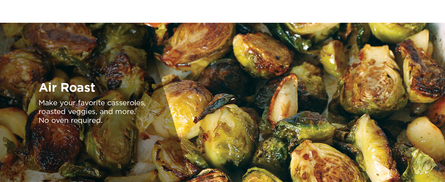 Air Fry Air Roast Bake Reheat Dehydrate