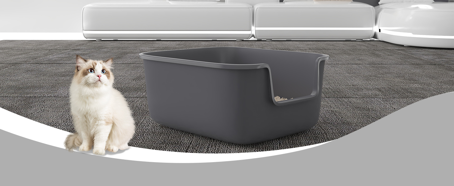 aplus content image