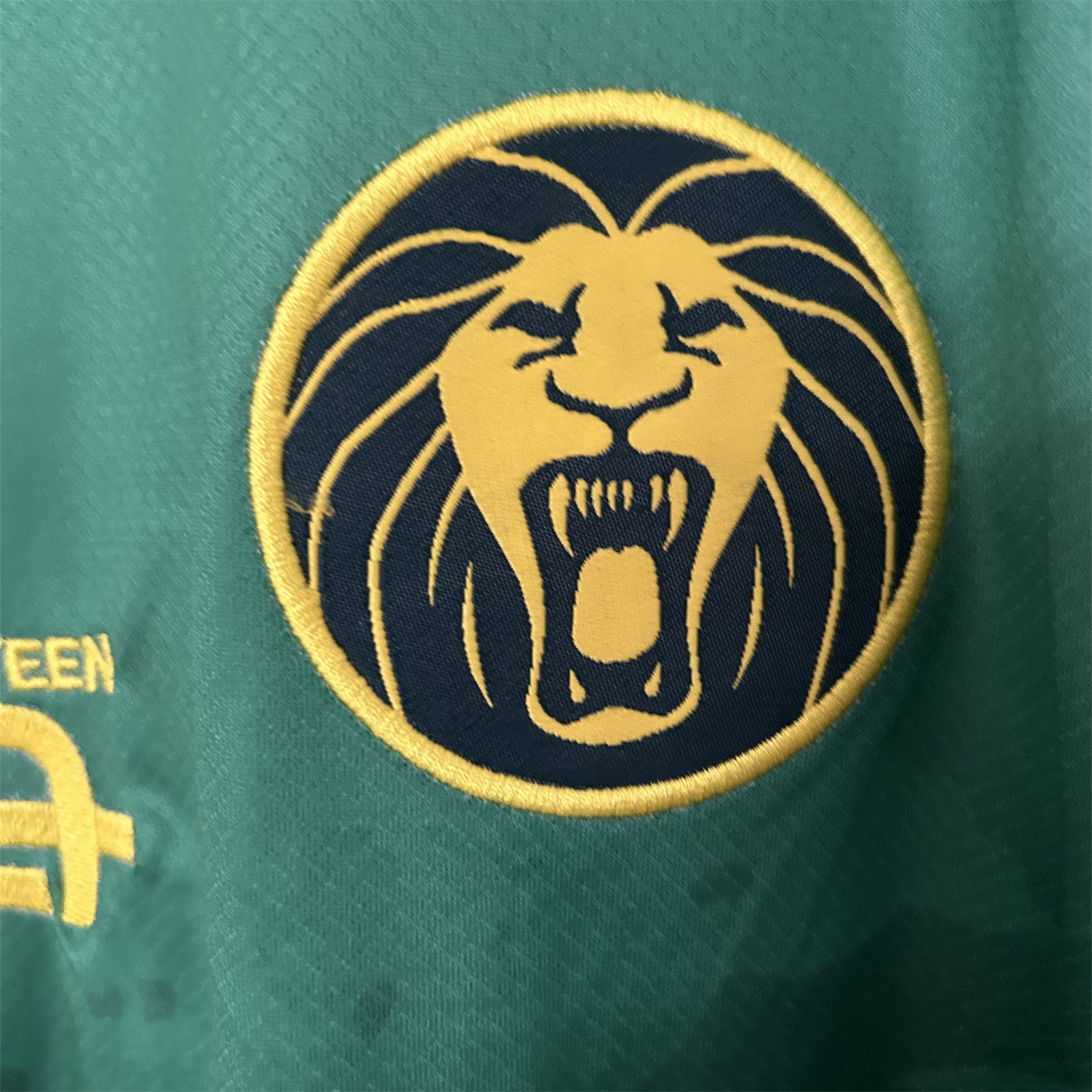 UltraTrikot-Cameroon 25-26 Home Jersey - Fans Version