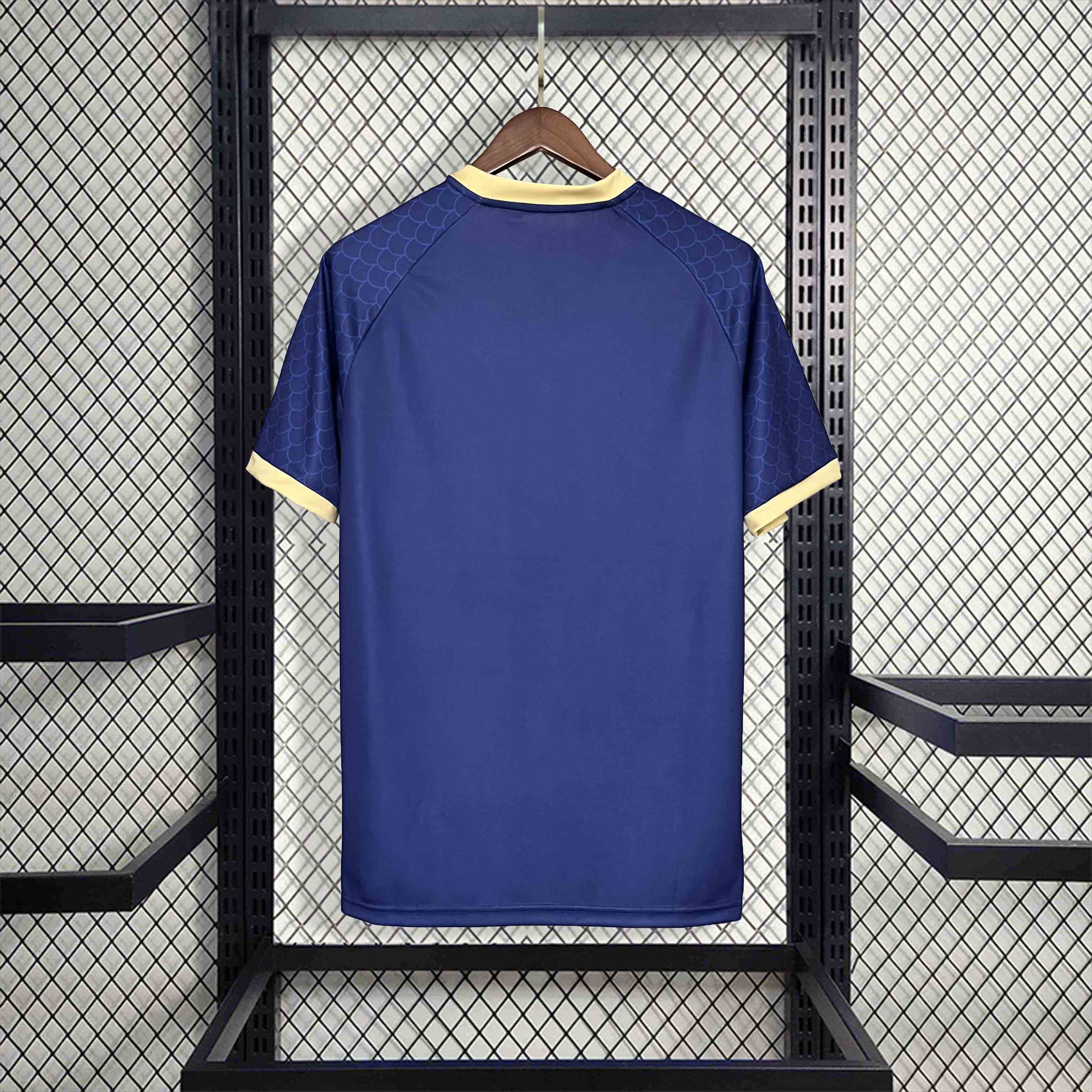 Higojerseys-Japan 2024 Blue Dragon Special Edition Jersey - Fans Version