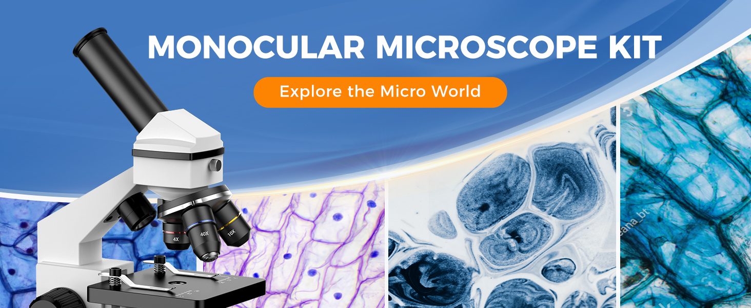 microscope