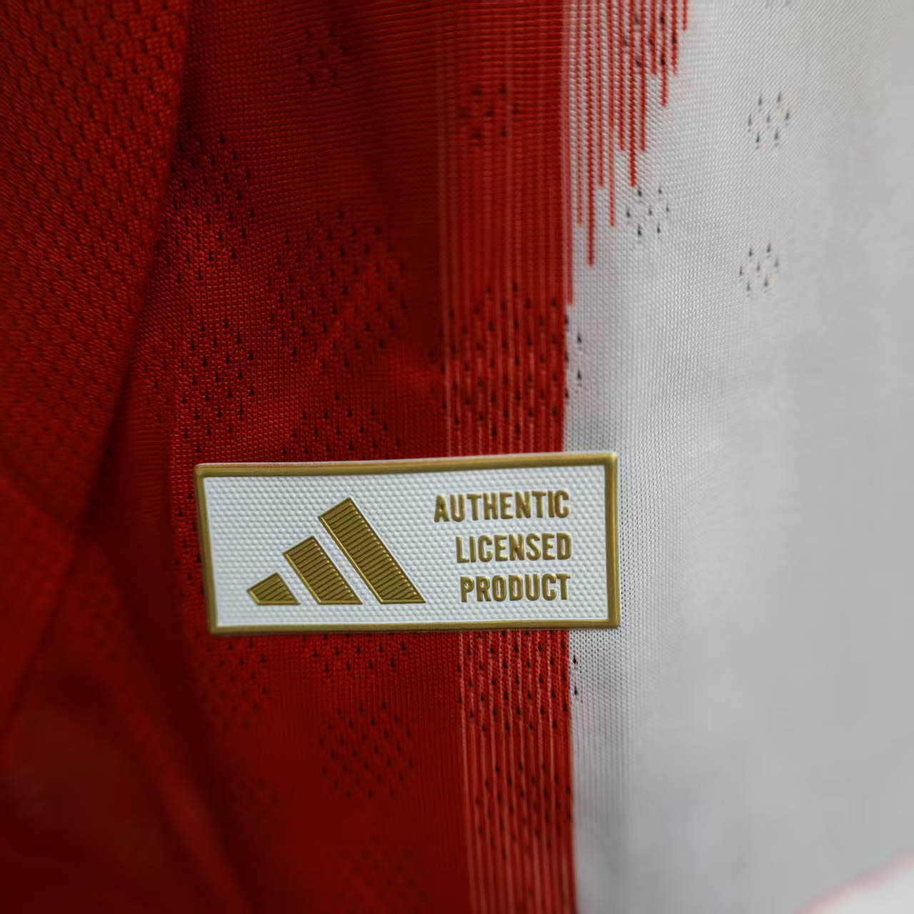 2025/2026 Player Version Bayern Munich Home Football Shirt 1:1 Thai Quality:football jersey mysite: unitedjerseyfootball 邓江浪:football