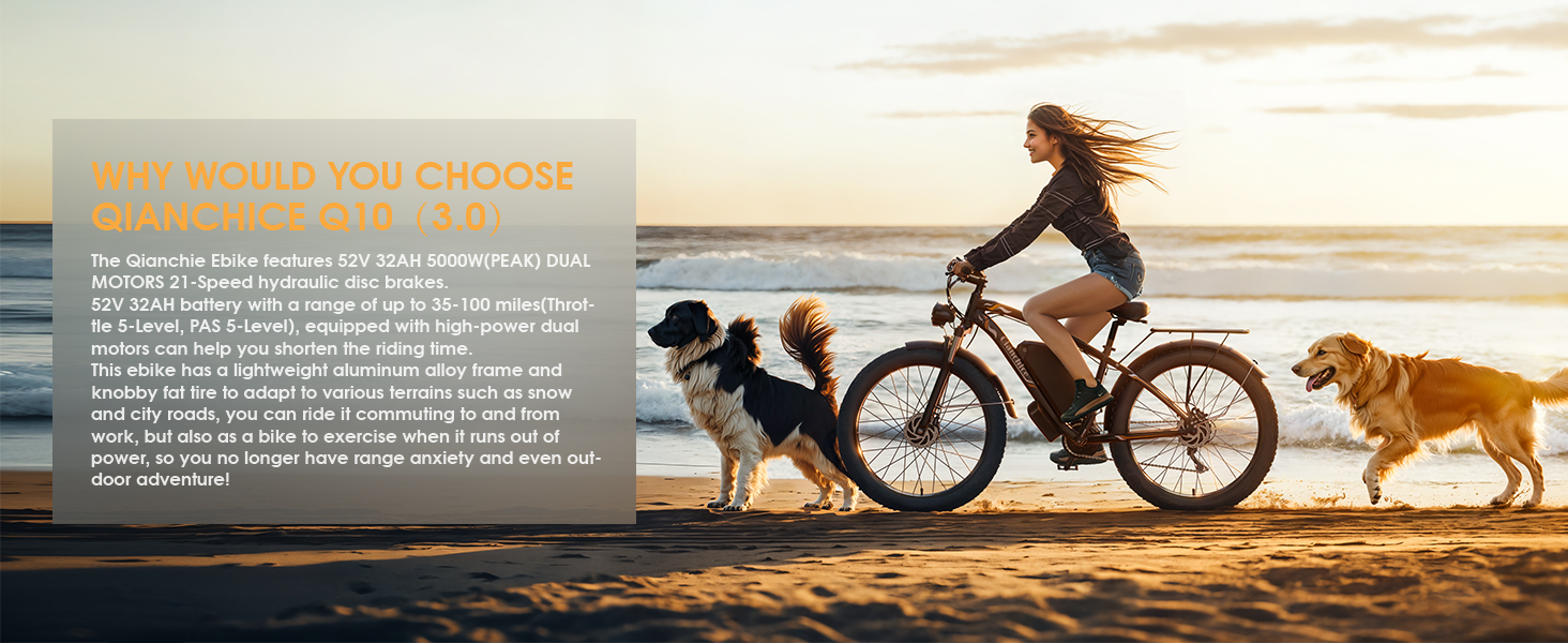 fat tire ebike