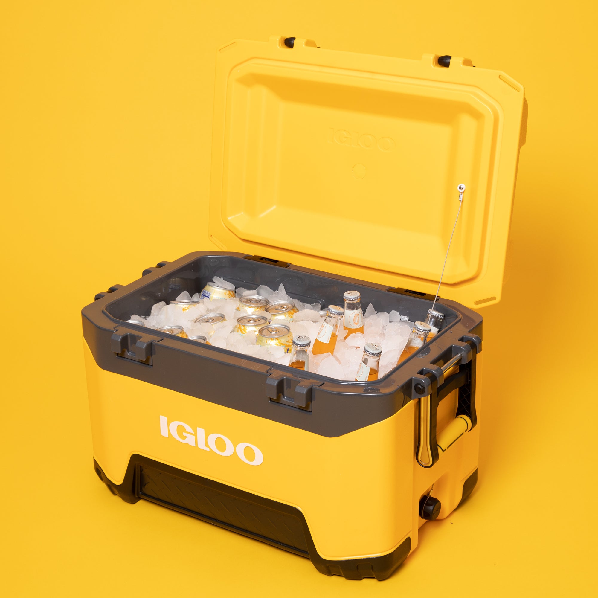 Locks in Cold for Long-Lasting Adventures